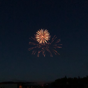 免费裸体奶头❌羞羞视频网站
